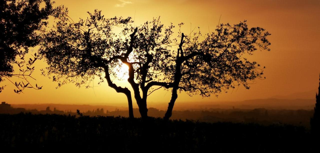 Agriturismo Cascina Cipressa San Romano  Ngoại thất bức ảnh