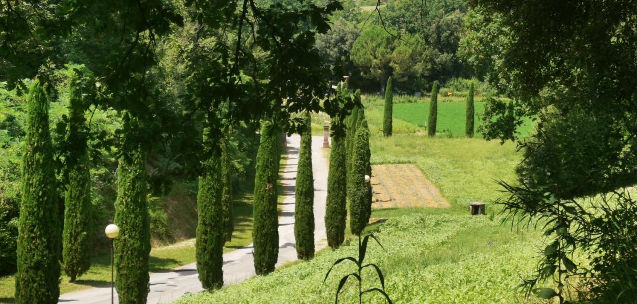 Agriturismo Cascina Cipressa San Romano  Ngoại thất bức ảnh