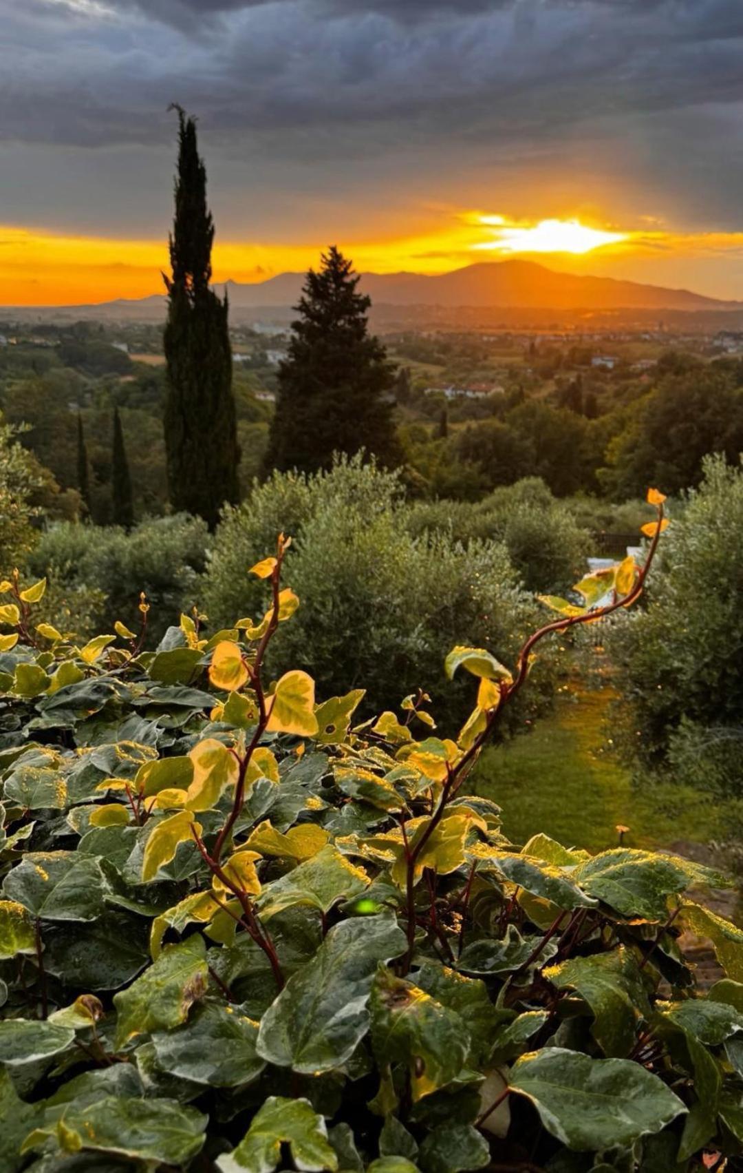 Agriturismo Cascina Cipressa San Romano  Ngoại thất bức ảnh