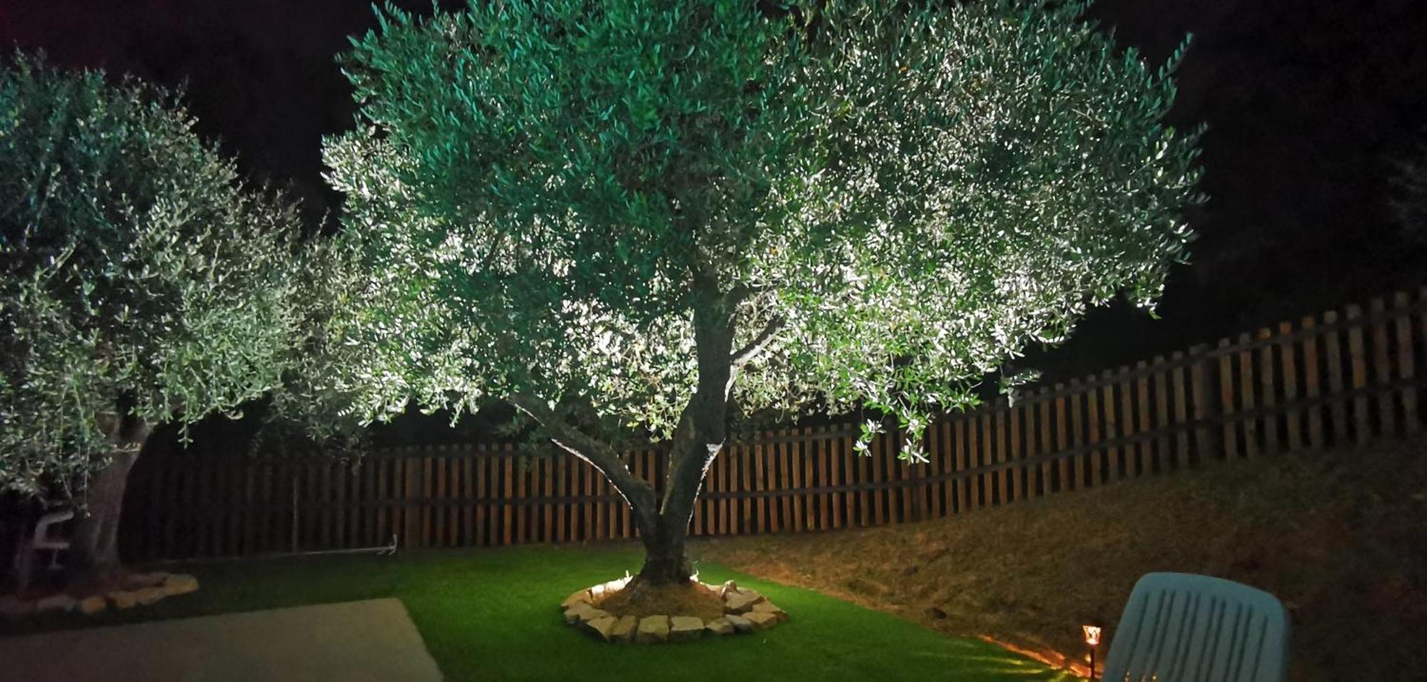Agriturismo Cascina Cipressa San Romano  Ngoại thất bức ảnh