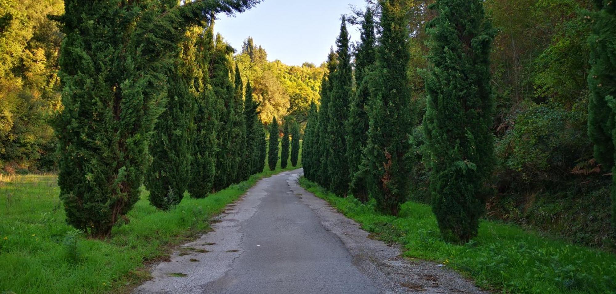 Agriturismo Cascina Cipressa San Romano  Ngoại thất bức ảnh